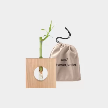 Hope Bamboo
